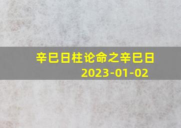 辛巳日柱论命之辛巳日 2023-01-02